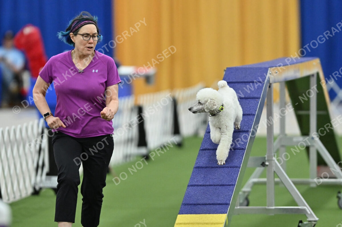 MAS-EX-STD-12-Inch_6049