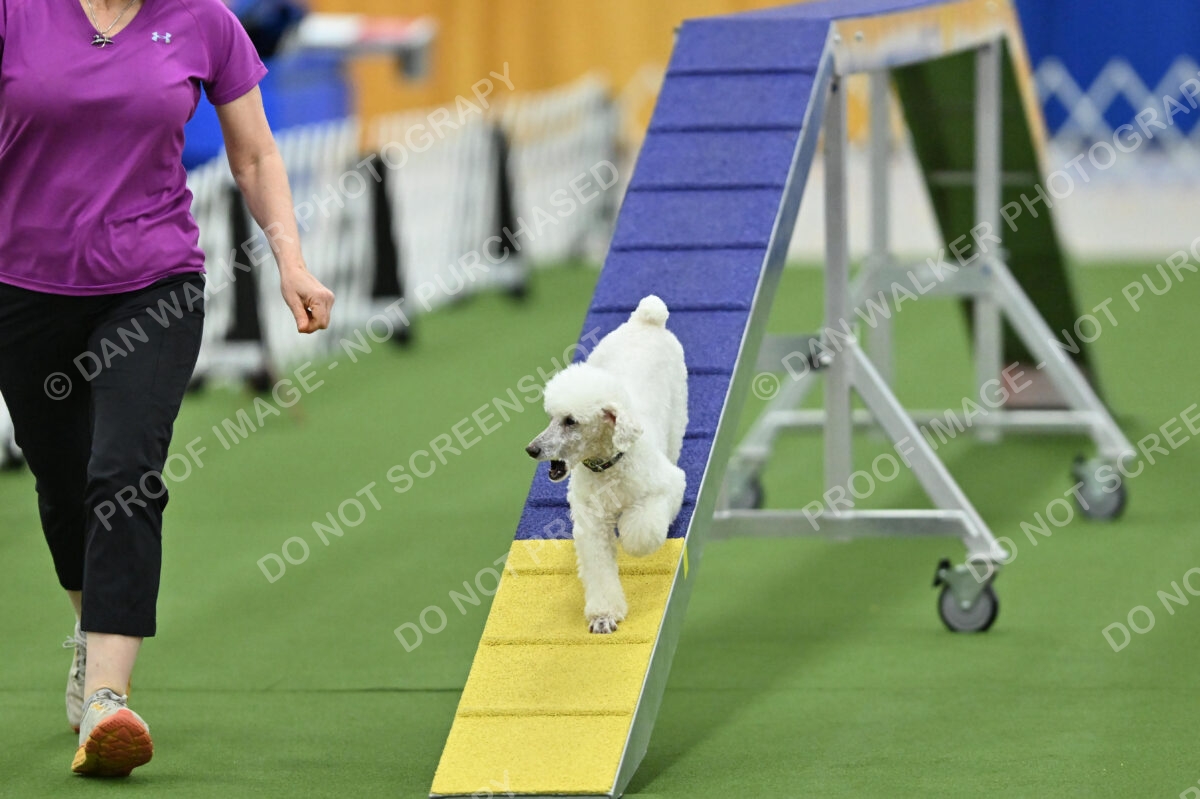 MAS-EX-STD-12-Inch_6055