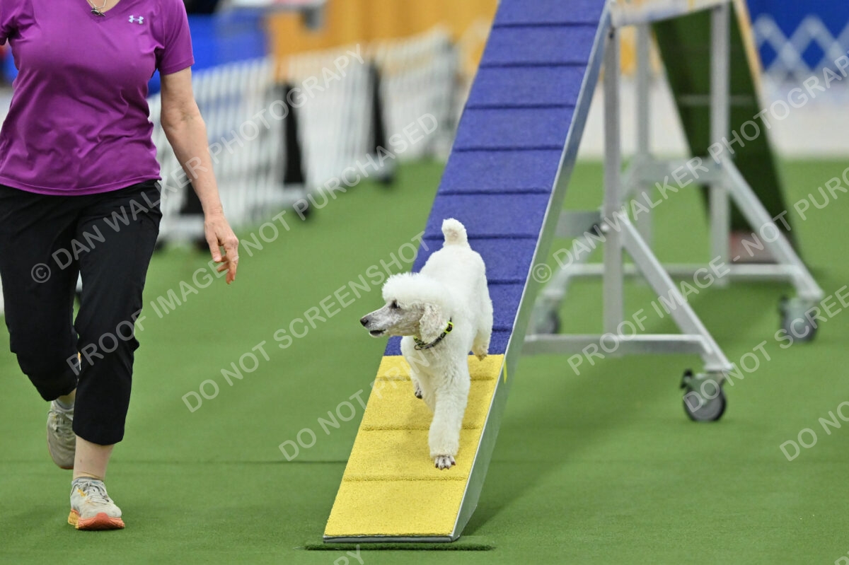 MAS-EX-STD-12-Inch_6057