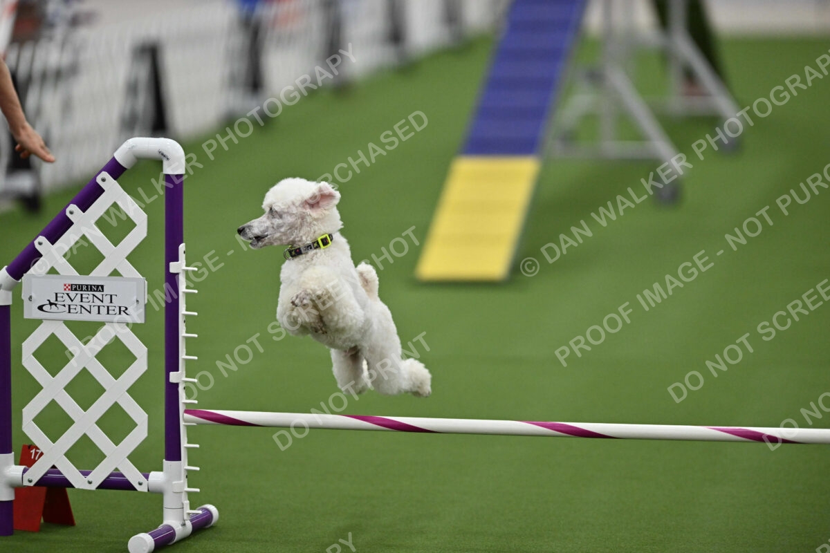 MAS-EX-STD-12-Inch_6064