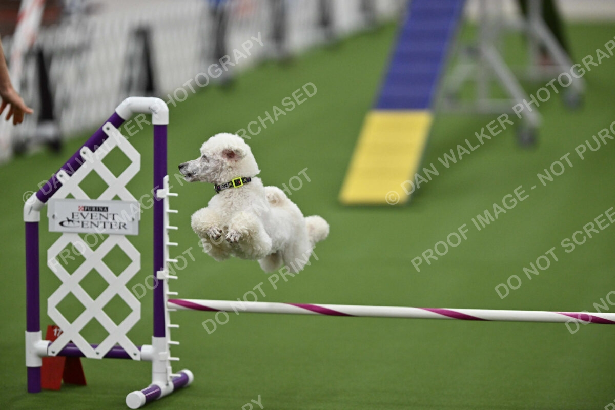 MAS-EX-STD-12-Inch_6066