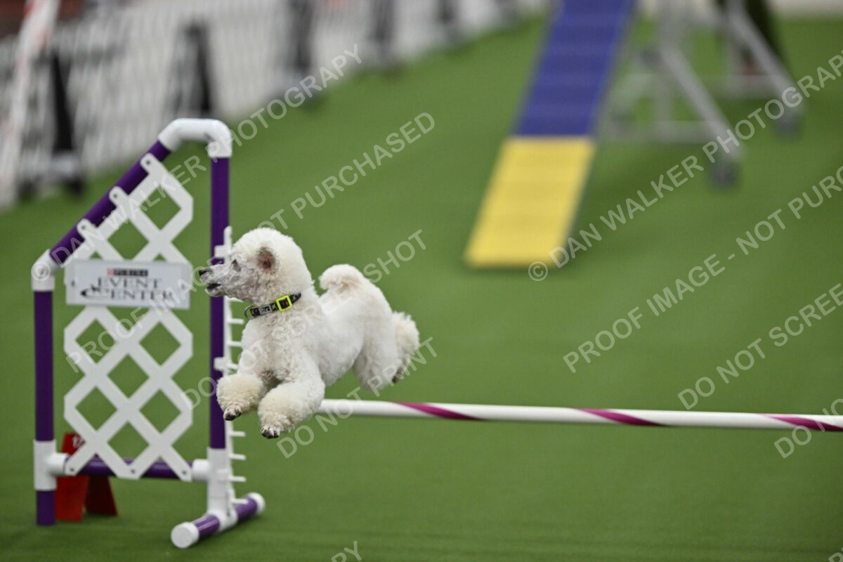 MAS-EX-STD-12-Inch_6068