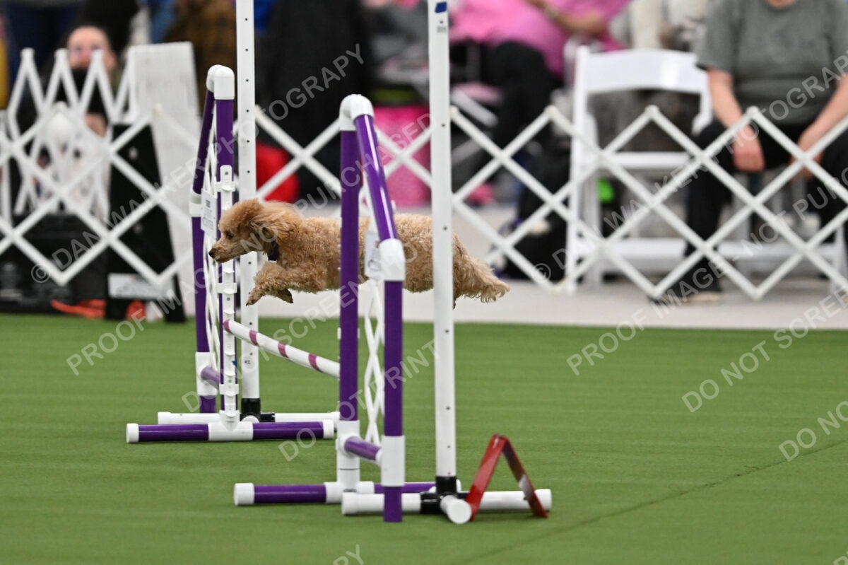 MAS-EX-STD-12-Inch_6070