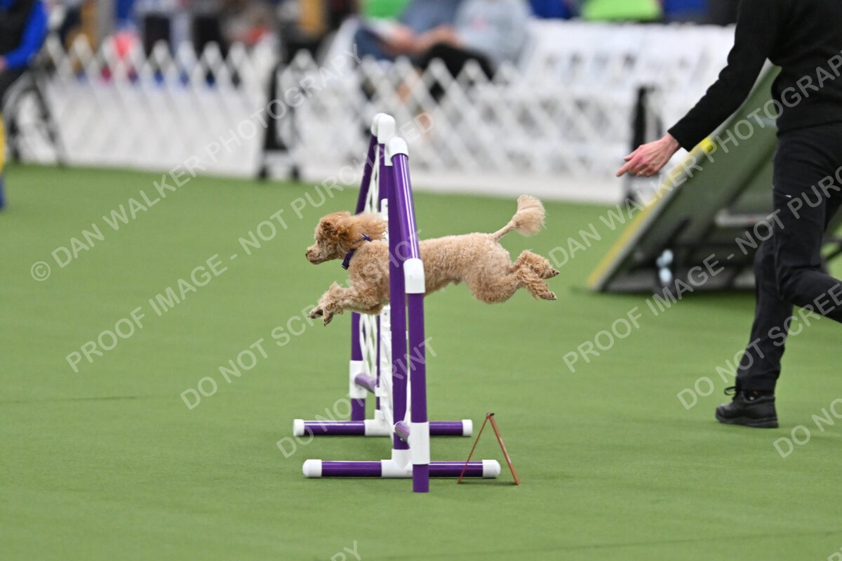 MAS-EX-STD-12-Inch_6073