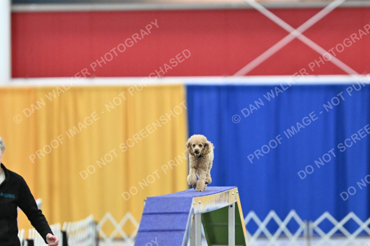 MAS-EX-STD-12-Inch_6100