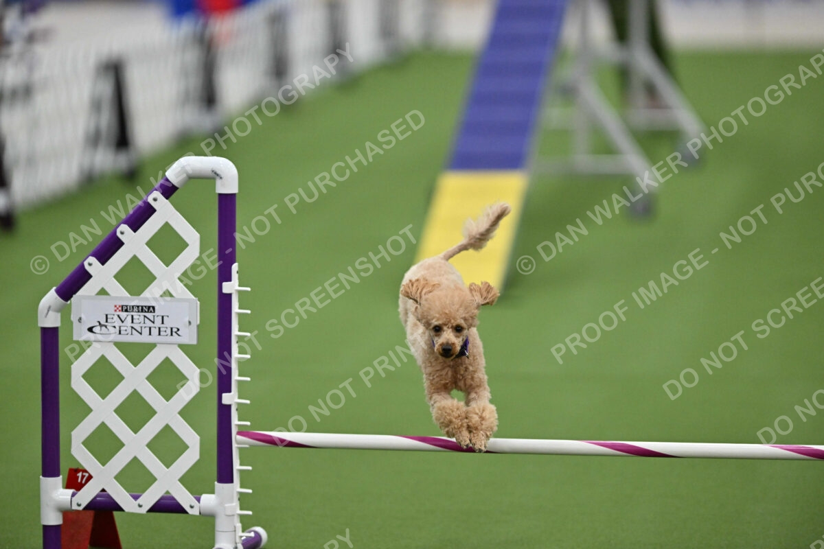 MAS-EX-STD-12-Inch_6113