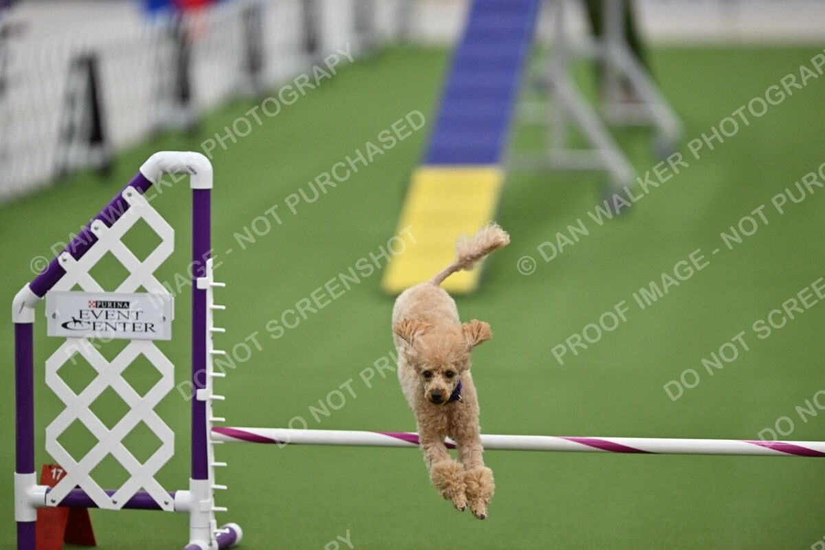 MAS-EX-STD-12-Inch_6114