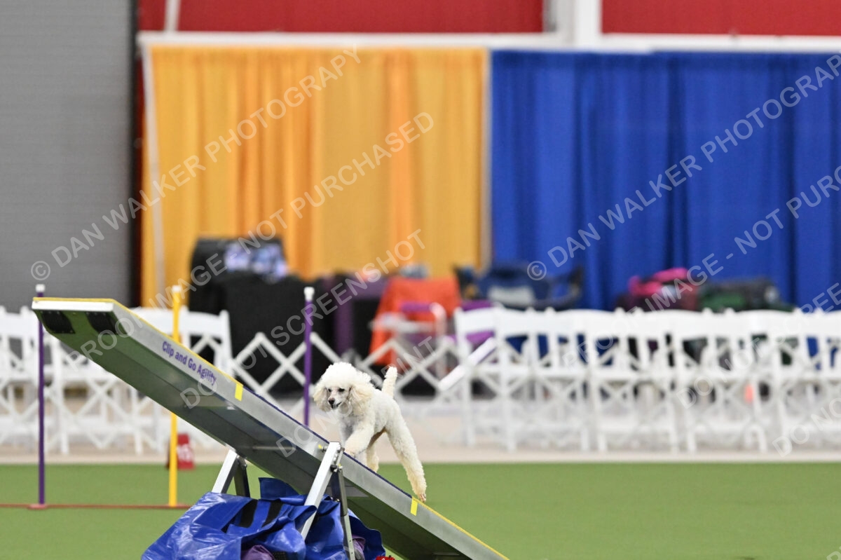 MAS-EX-STD-12-Inch_6116