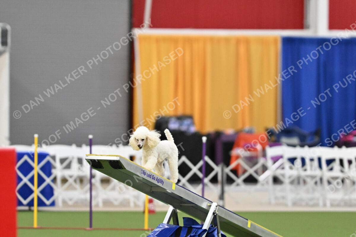 MAS-EX-STD-12-Inch_6118