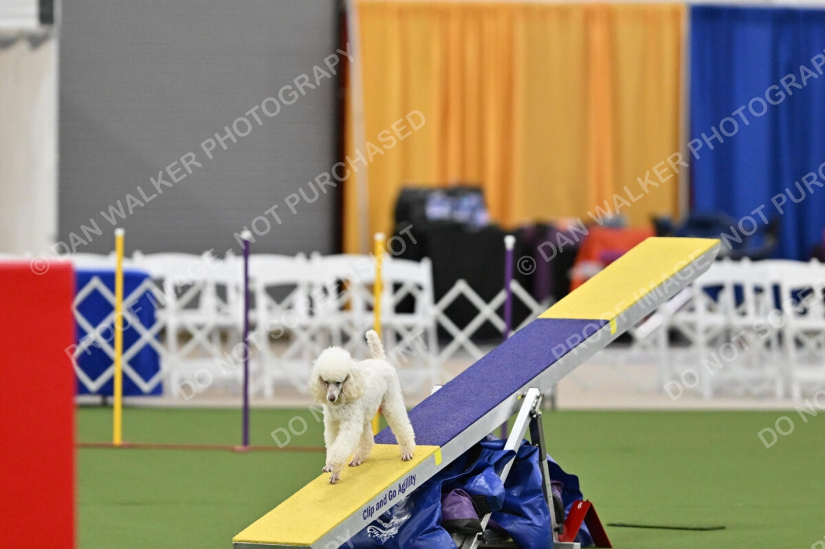 MAS-EX-STD-12-Inch_6124