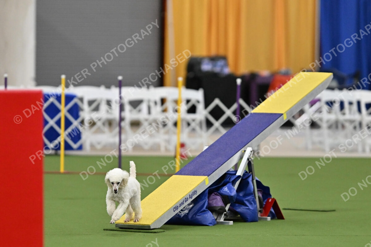 MAS-EX-STD-12-Inch_6129