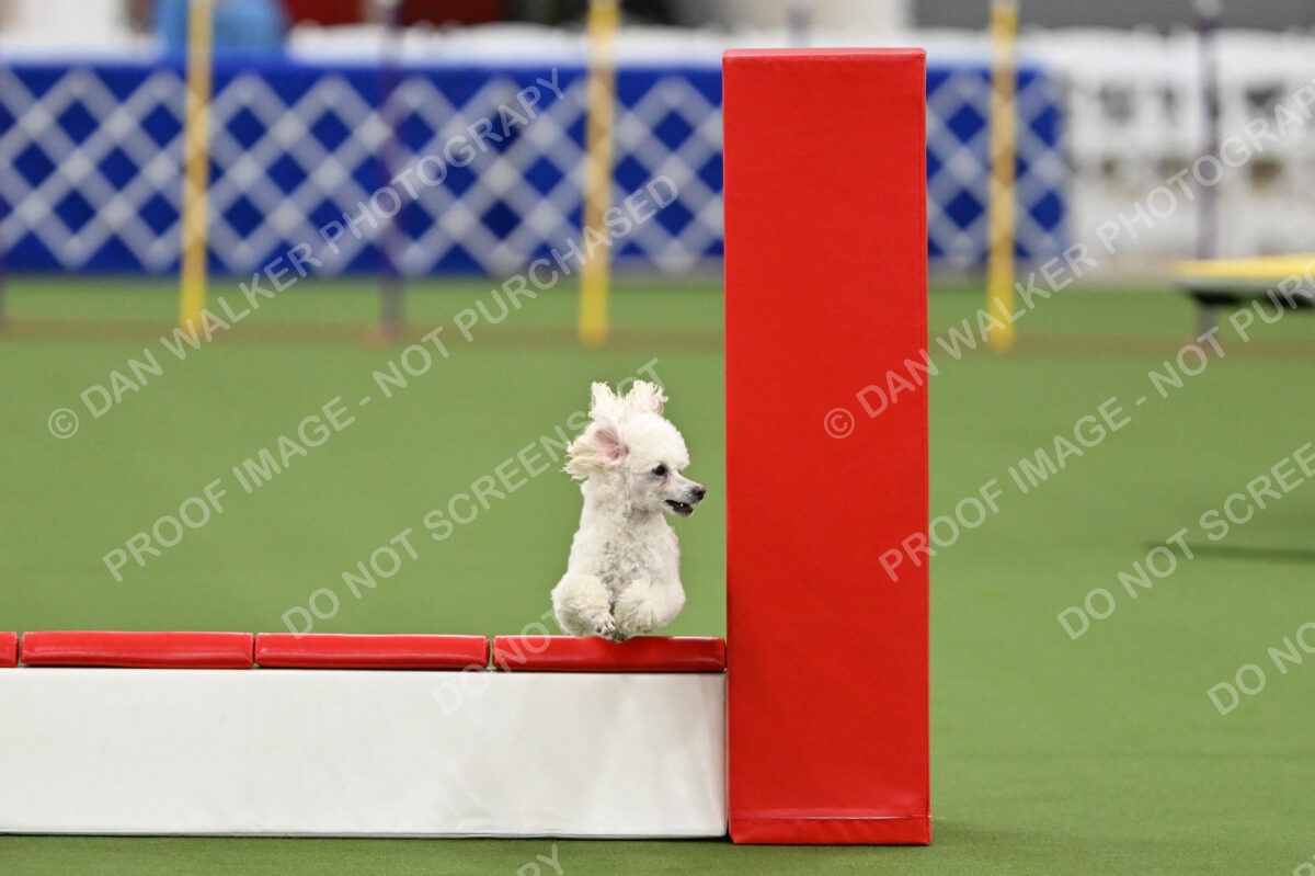 MAS-EX-STD-12-Inch_6134