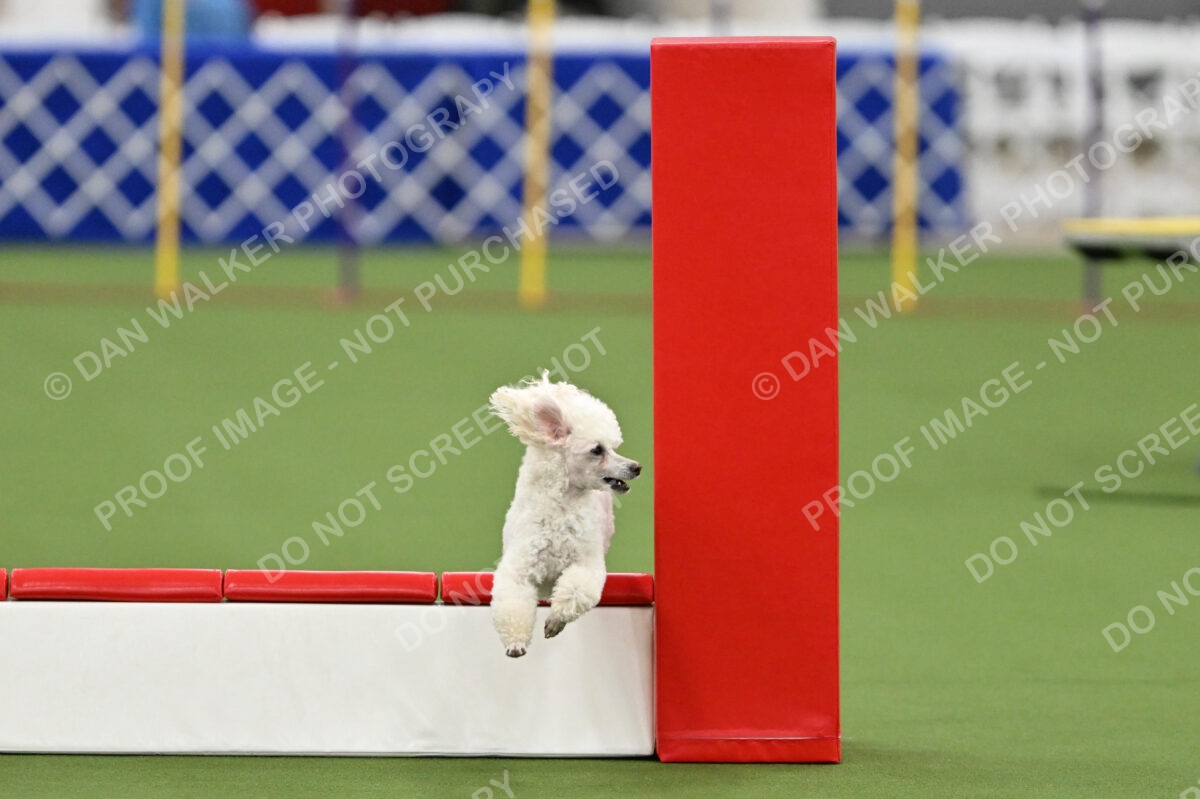 MAS-EX-STD-12-Inch_6135