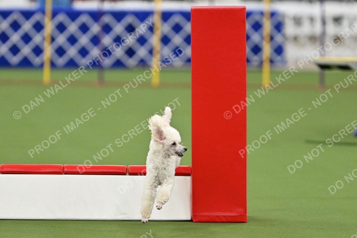 MAS-EX-STD-12-Inch_6136