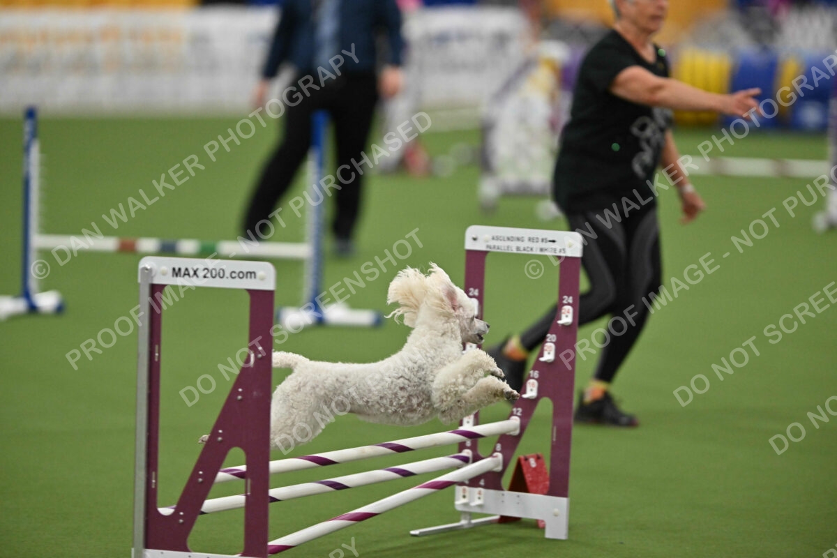 MAS-EX-STD-12-Inch_6141