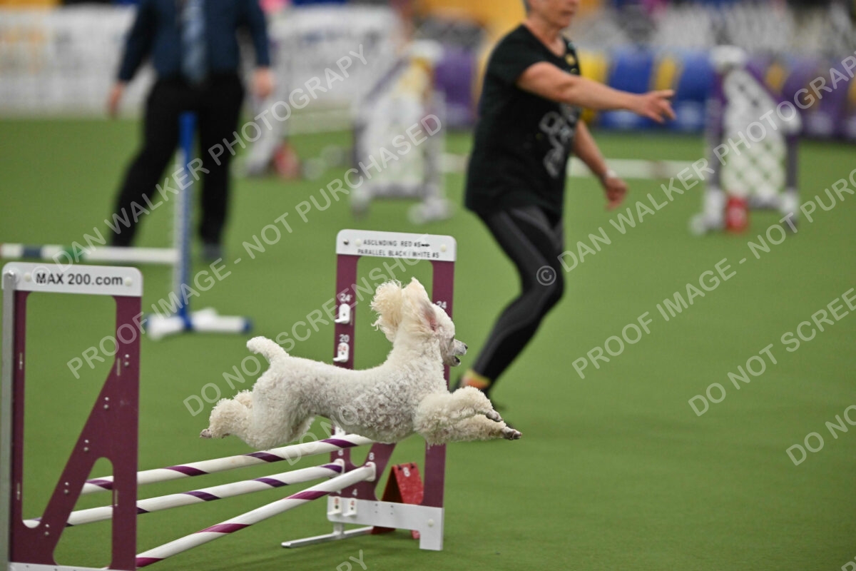 MAS-EX-STD-12-Inch_6142