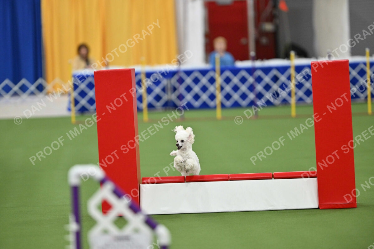 MAS-EX-STD-12-Inch_6145