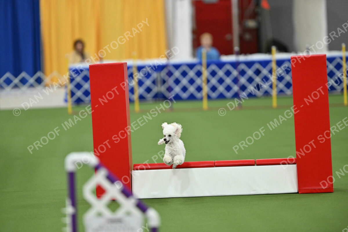 MAS-EX-STD-12-Inch_6146