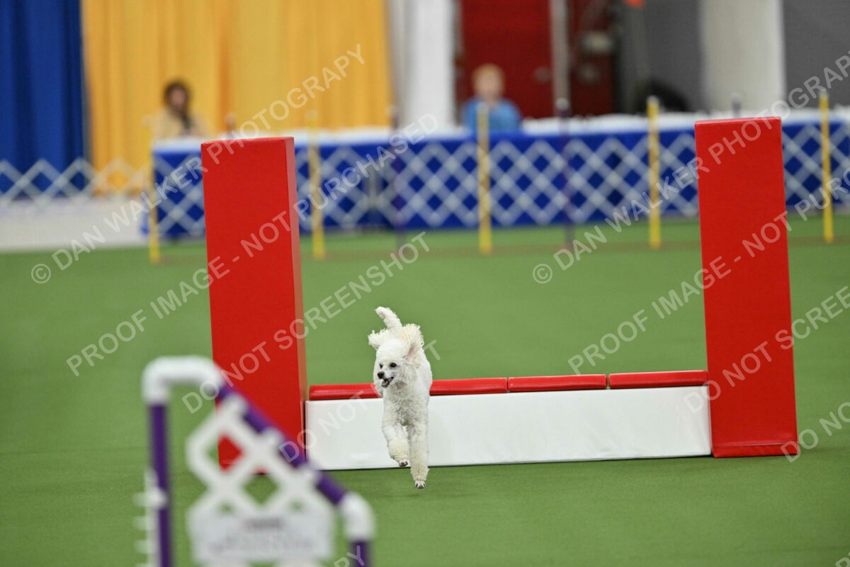 MAS-EX-STD-12-Inch_6148