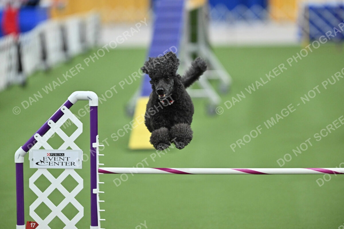 MAS-EX-STD-20-Inch_7184