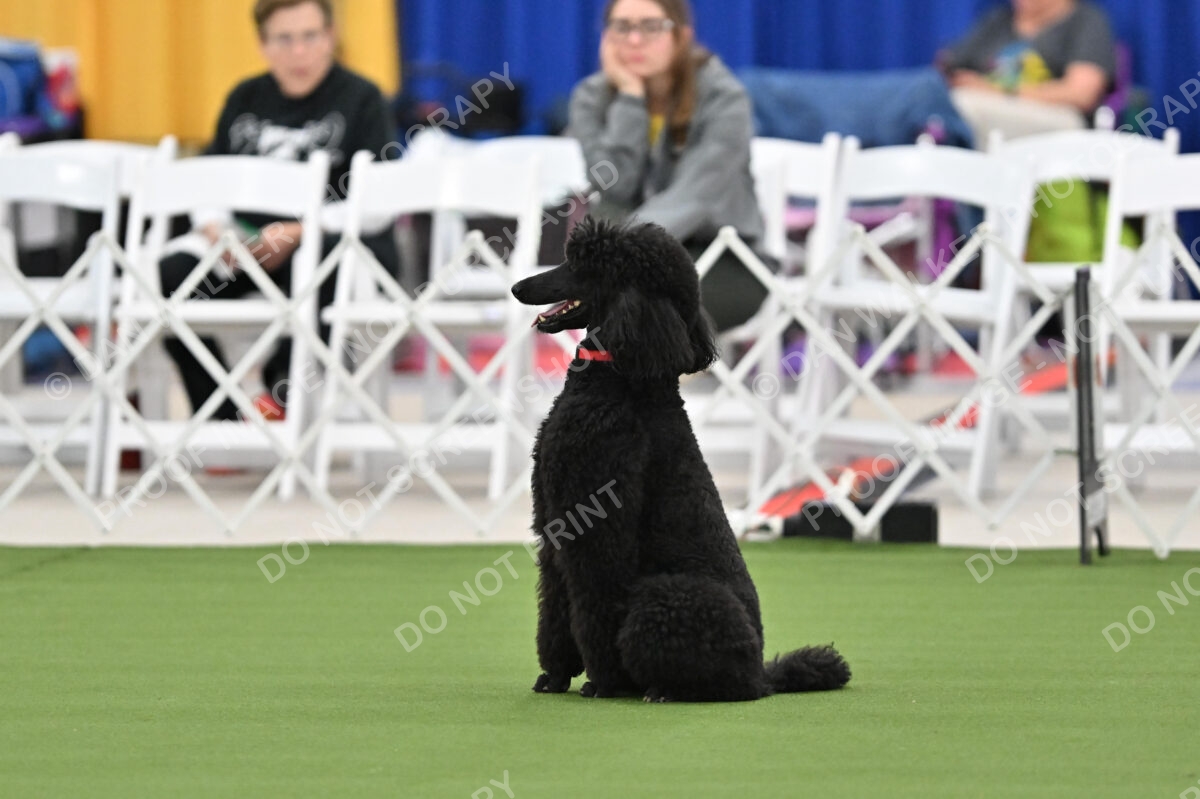 MAS-EX-STD-20-Inch_7185