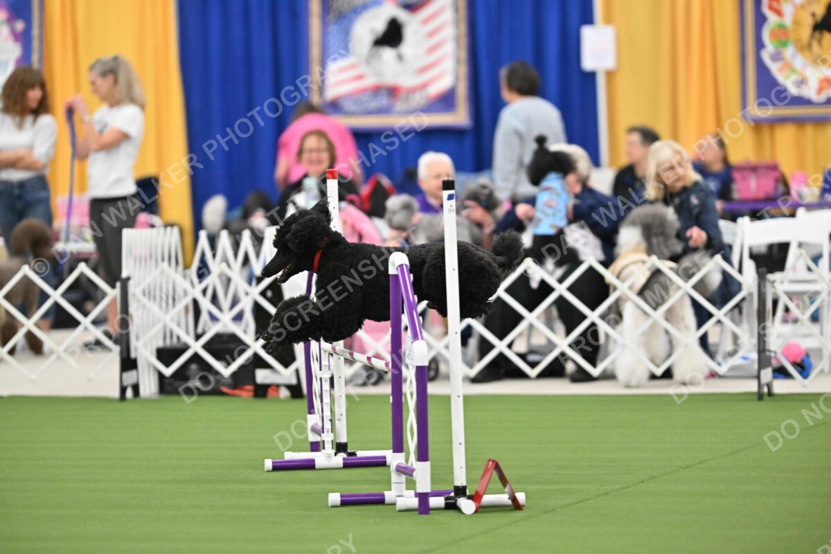 MAS-EX-STD-20-Inch_7189