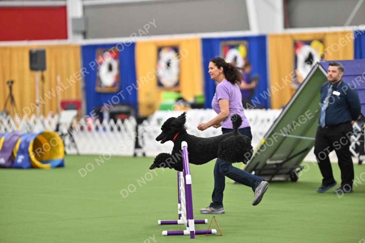 MAS-EX-STD-20-Inch_7191