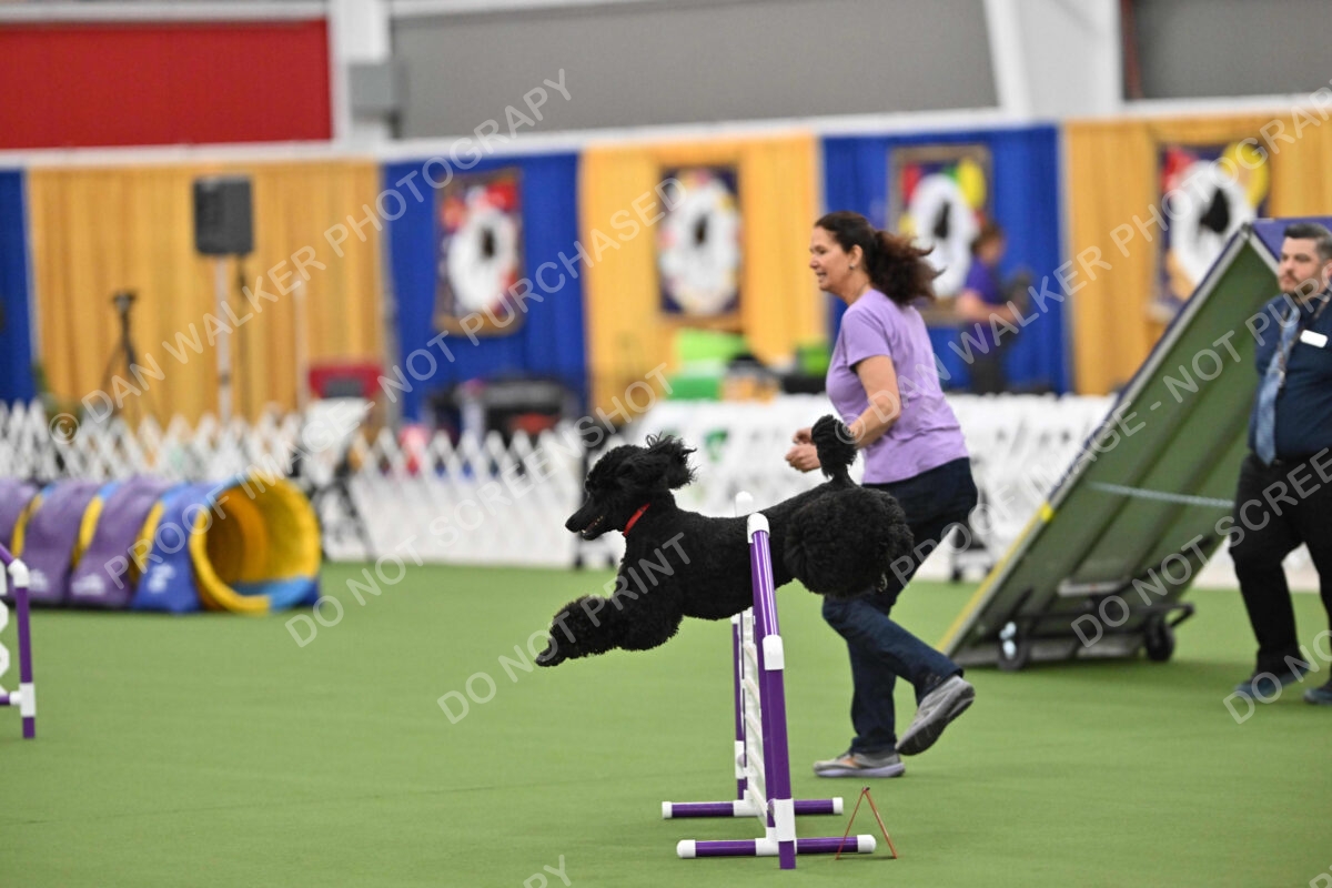 MAS-EX-STD-20-Inch_7192