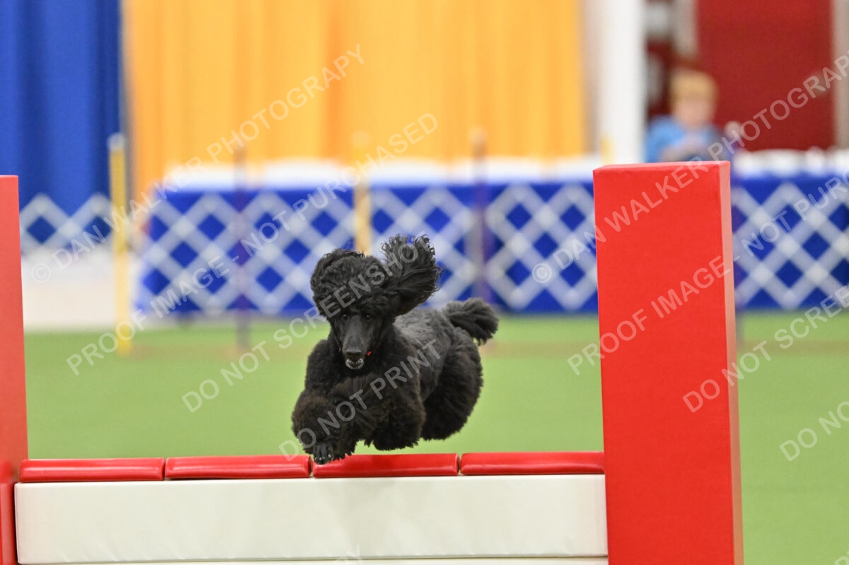 MAS-EX-STD-20-Inch_7202