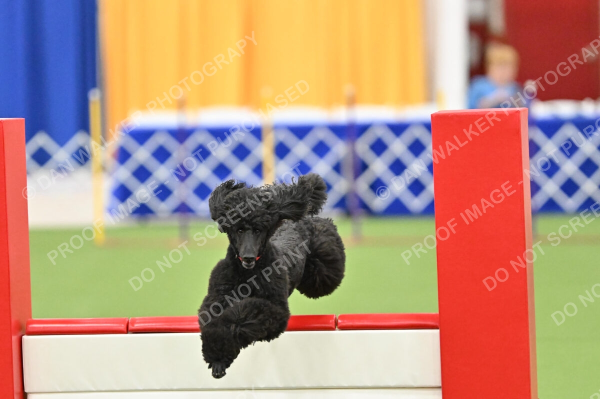 MAS-EX-STD-20-Inch_7203