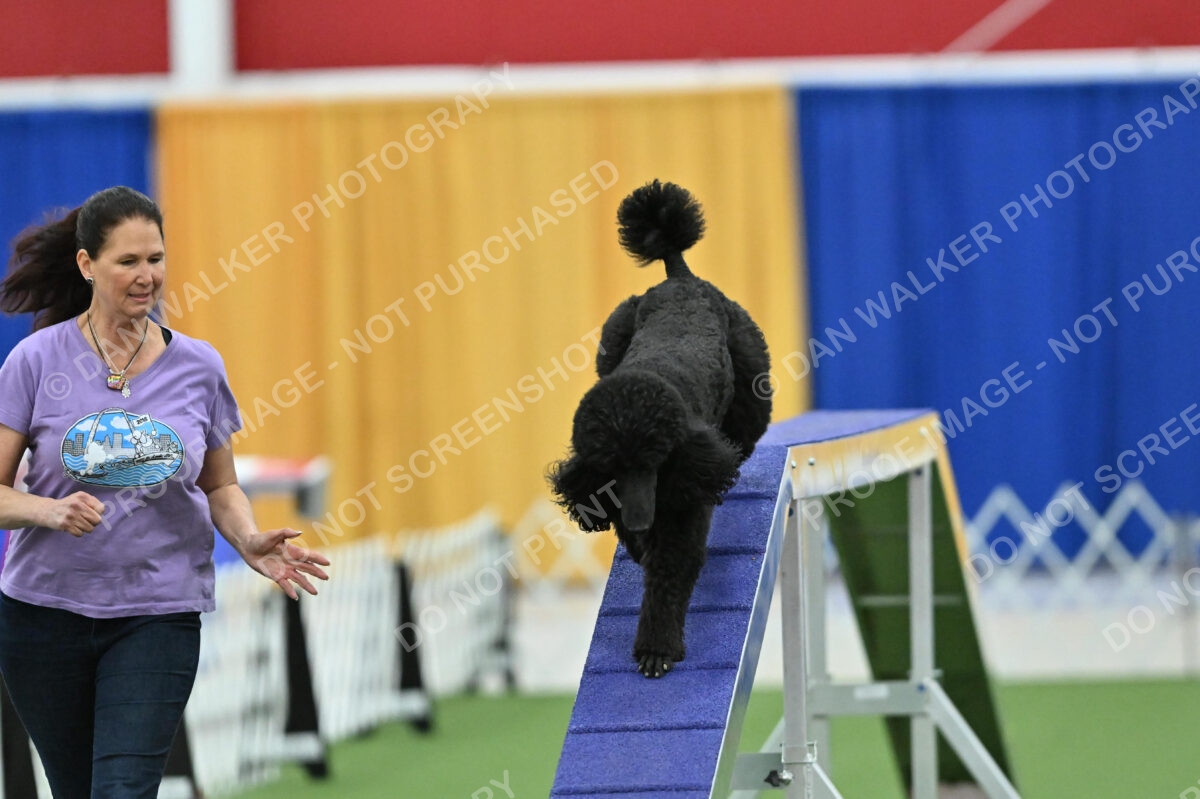 MAS-EX-STD-20-Inch_7210