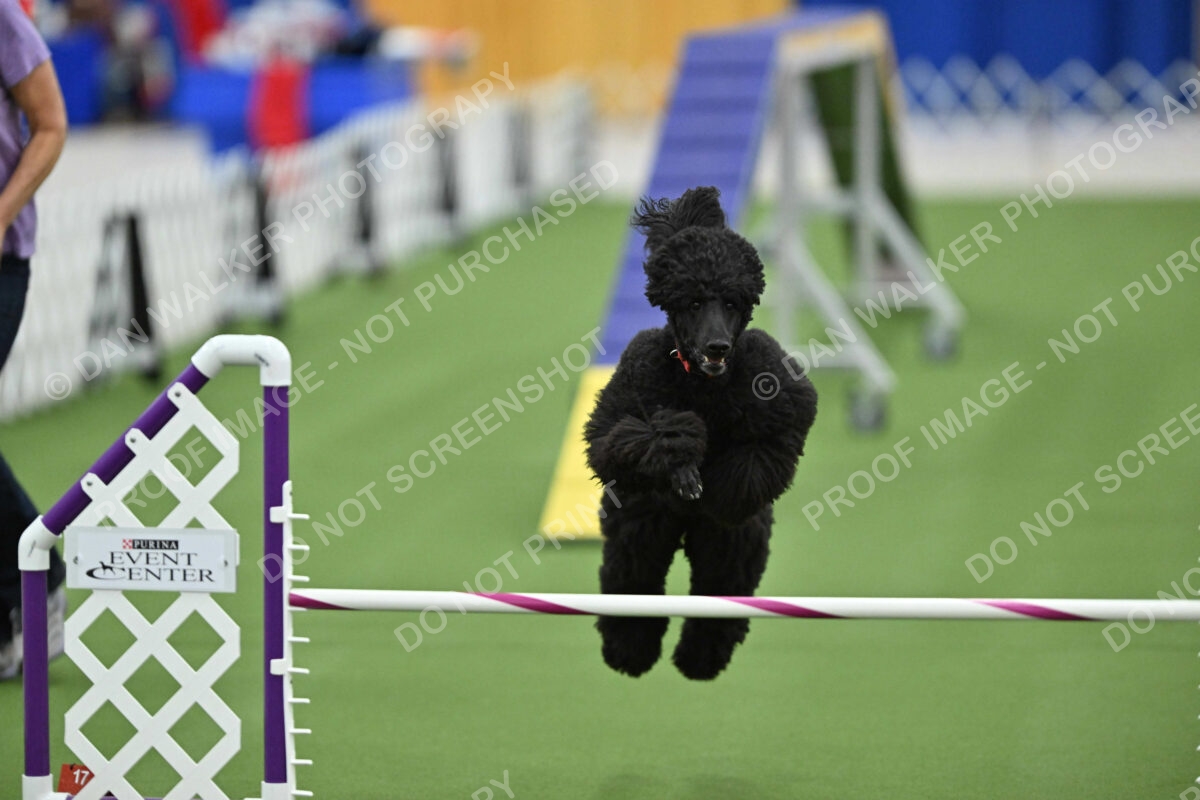 MAS-EX-STD-20-Inch_7226