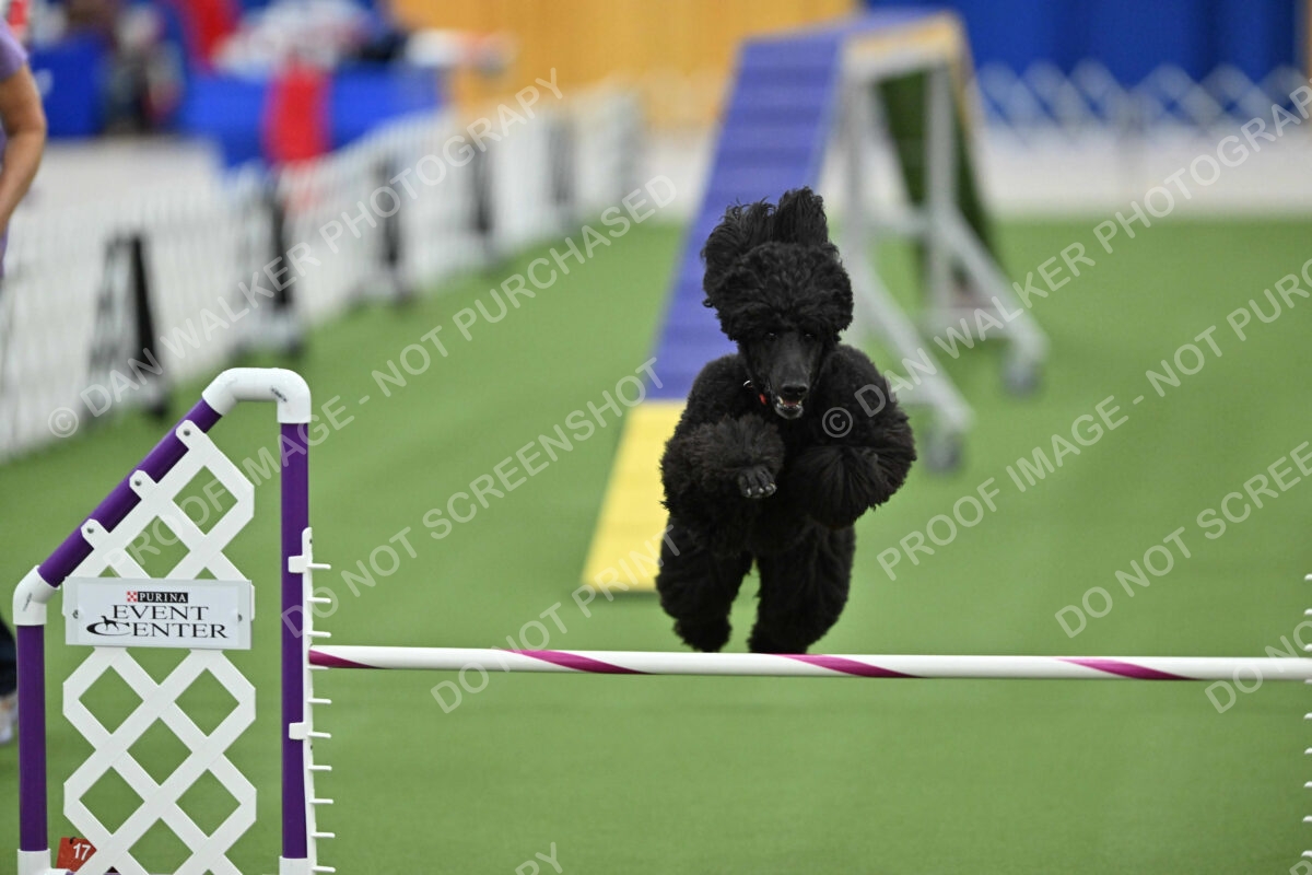 MAS-EX-STD-20-Inch_7227