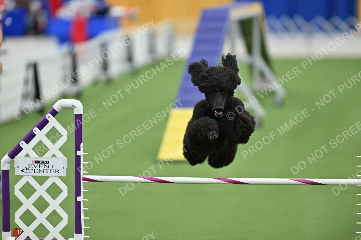 MAS-EX-STD-20-Inch_7228