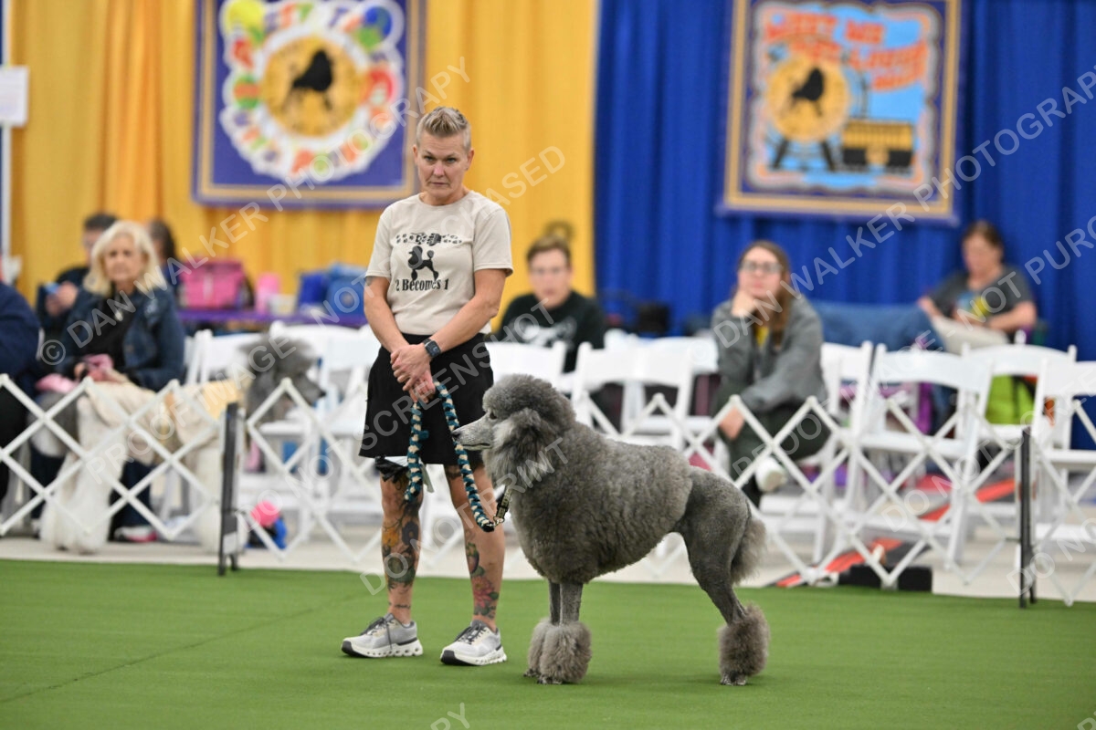 MAS-EX-STD-20-Inch_7231