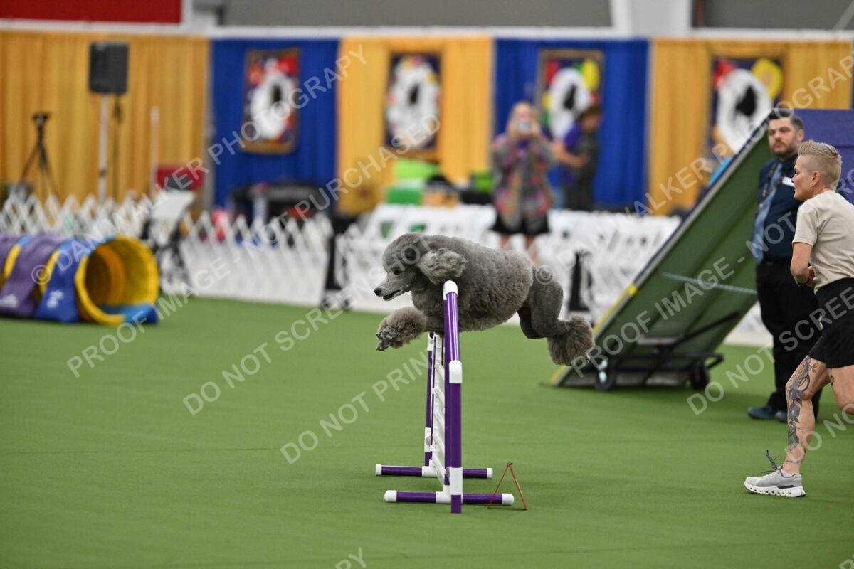 MAS-EX-STD-20-Inch_7238