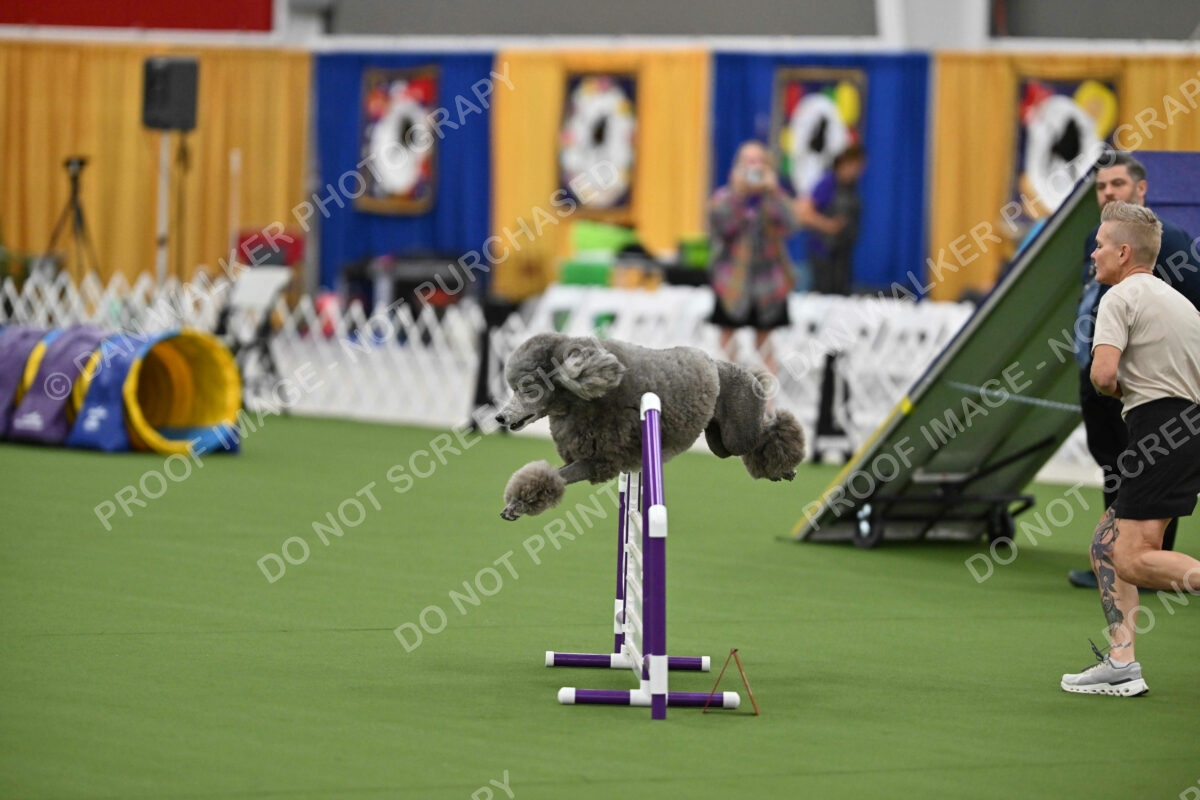 MAS-EX-STD-20-Inch_7239