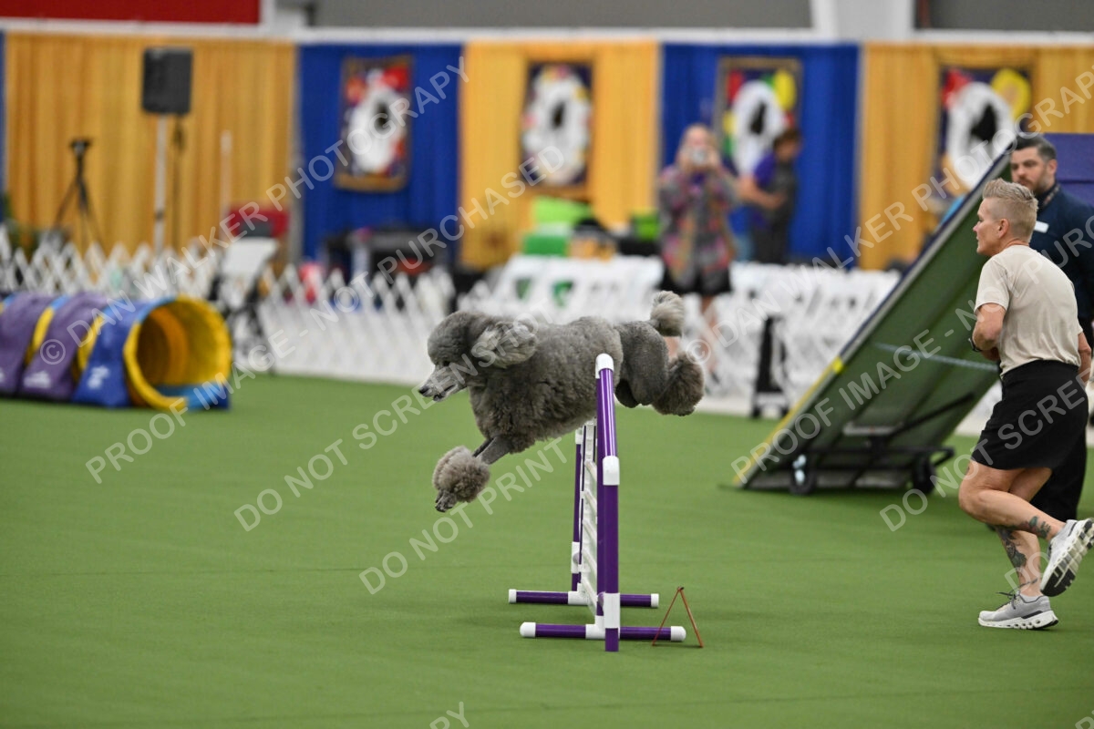 MAS-EX-STD-20-Inch_7240