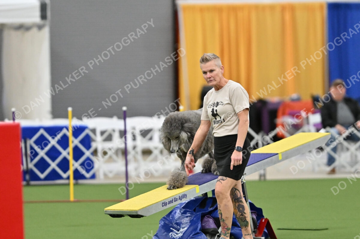 MAS-EX-STD-20-Inch_7250