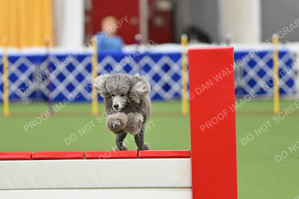 MAS-EX-STD-20-Inch_7258