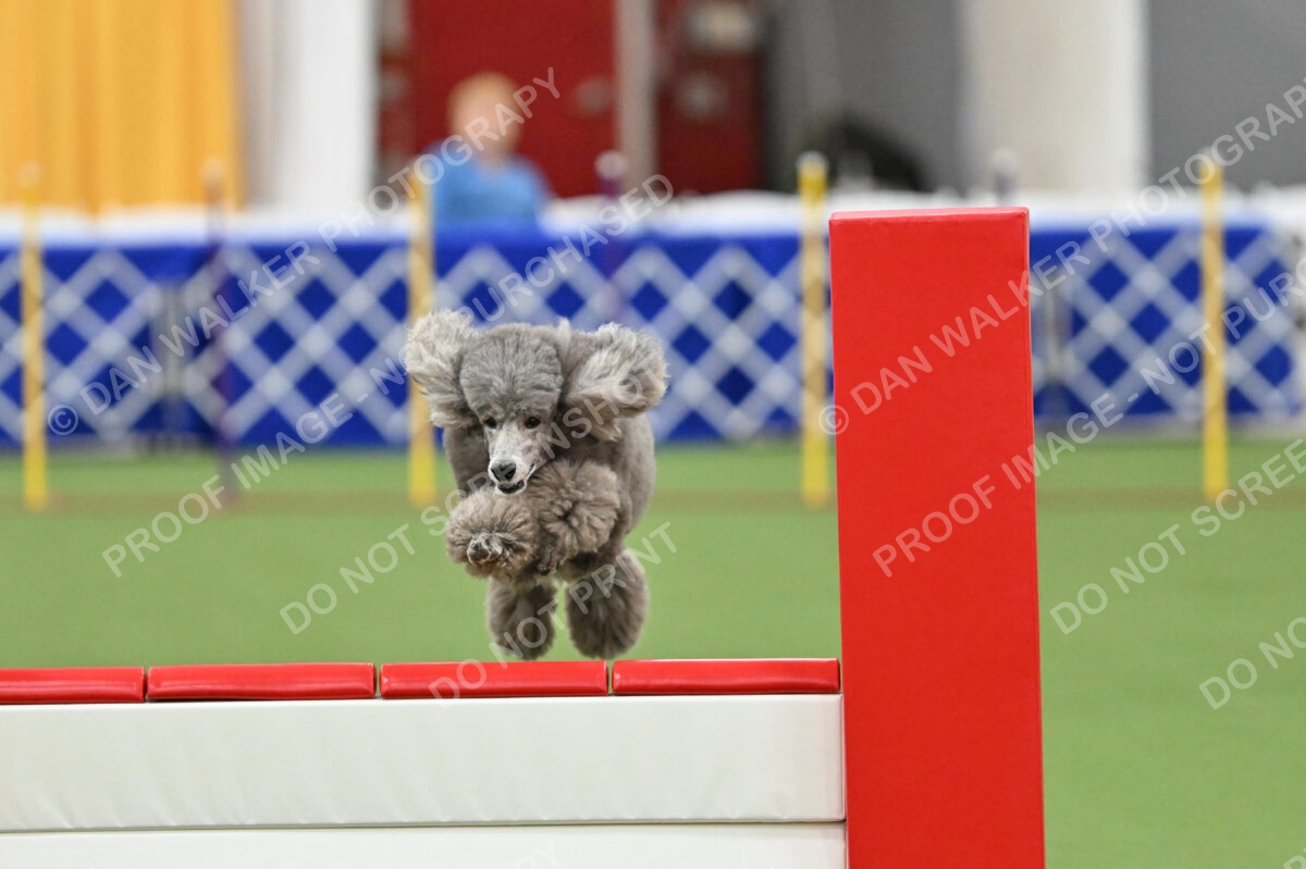 MAS-EX-STD-20-Inch_7259