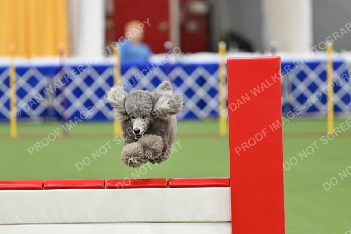 MAS-EX-STD-20-Inch_7260