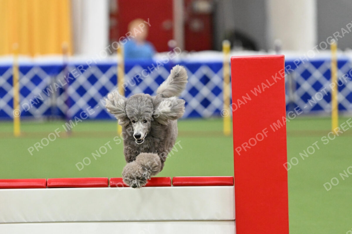 MAS-EX-STD-20-Inch_7261