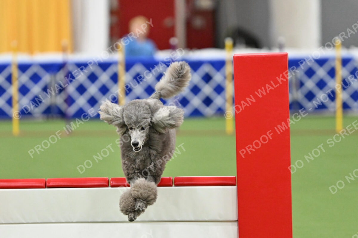 MAS-EX-STD-20-Inch_7262