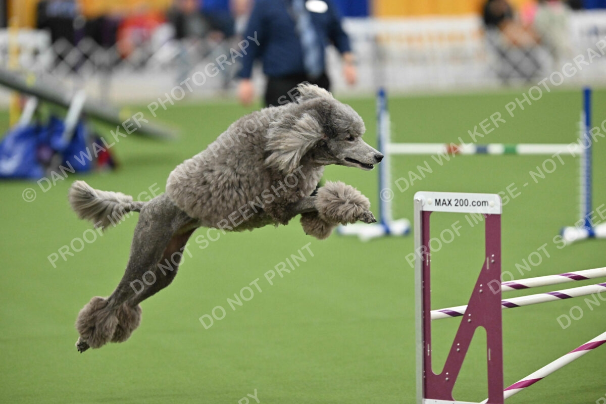 MAS-EX-STD-20-Inch_7263