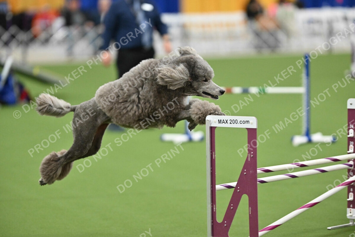 MAS-EX-STD-20-Inch_7264