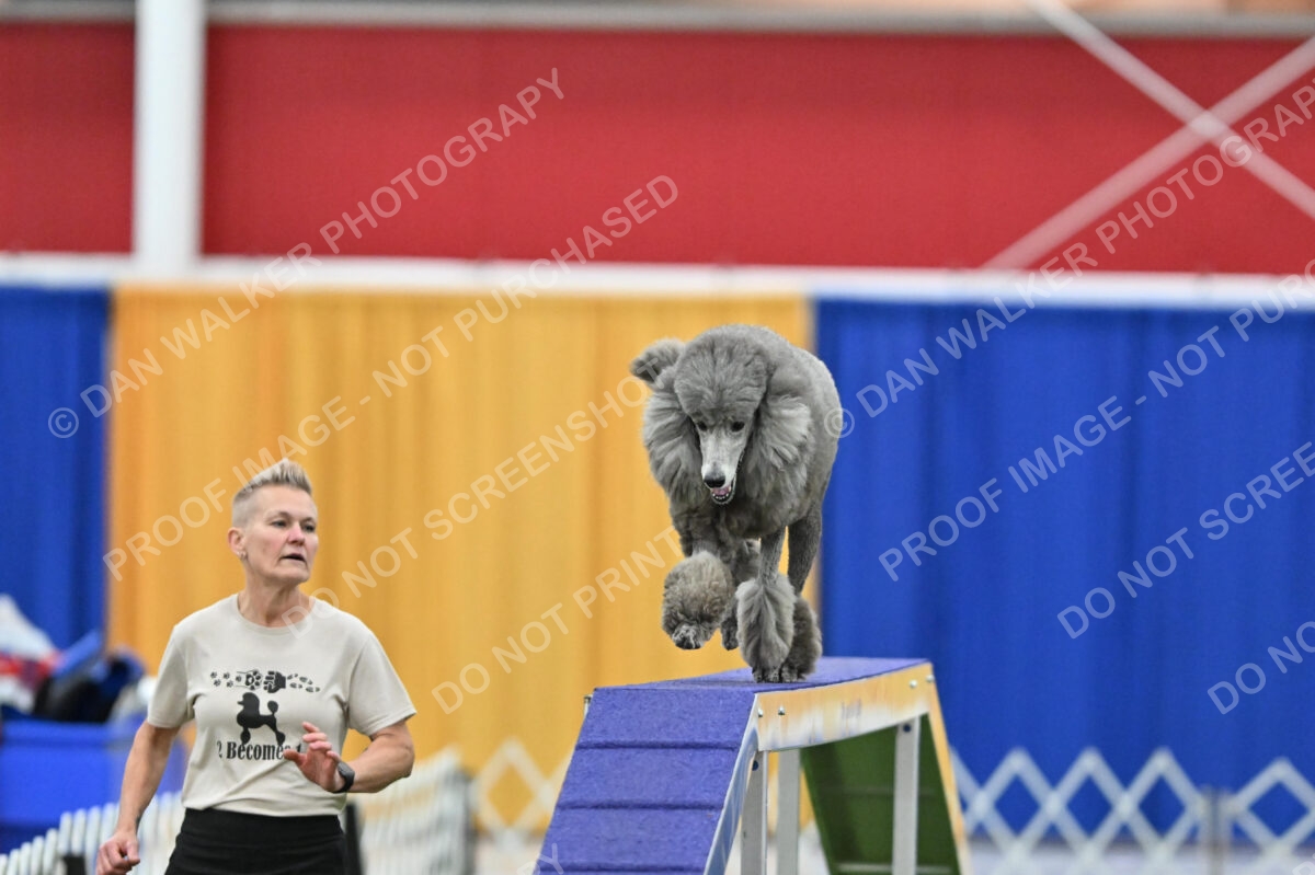 MAS-EX-STD-20-Inch_7269