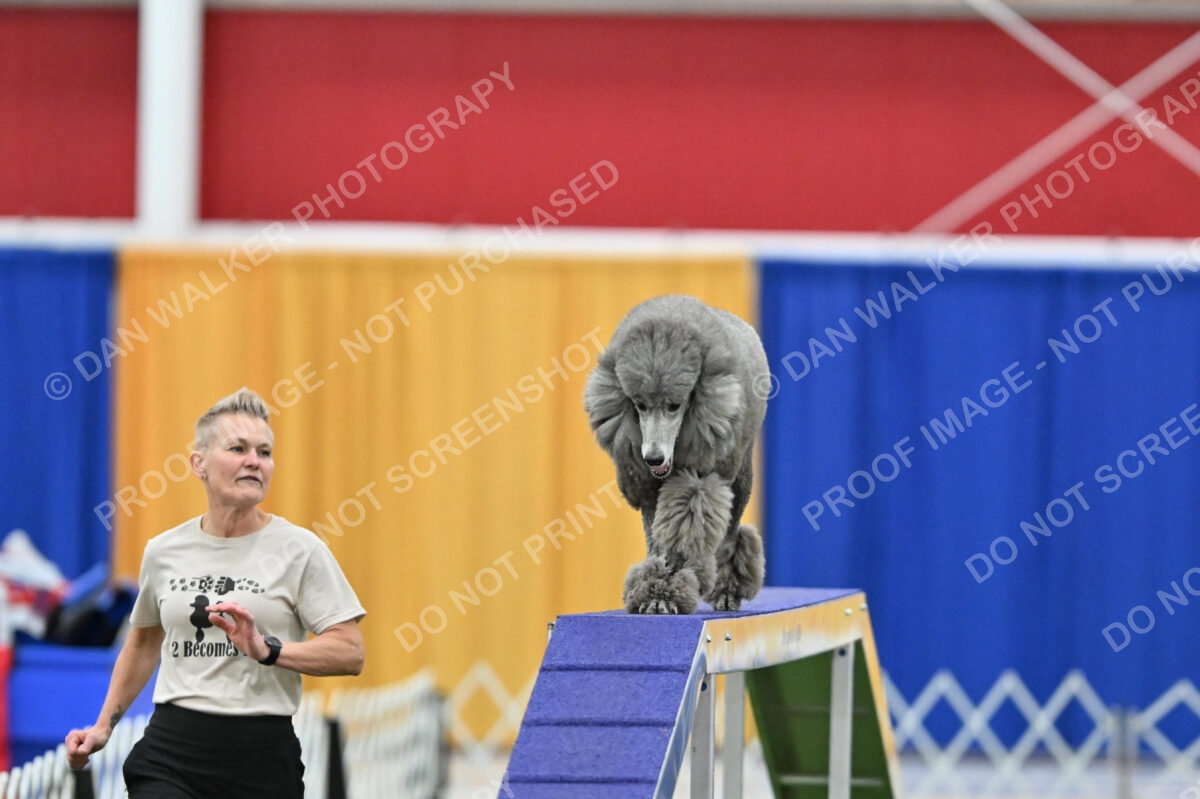 MAS-EX-STD-20-Inch_7271