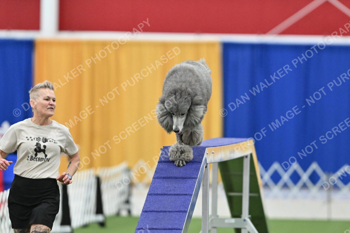 MAS-EX-STD-20-Inch_7275