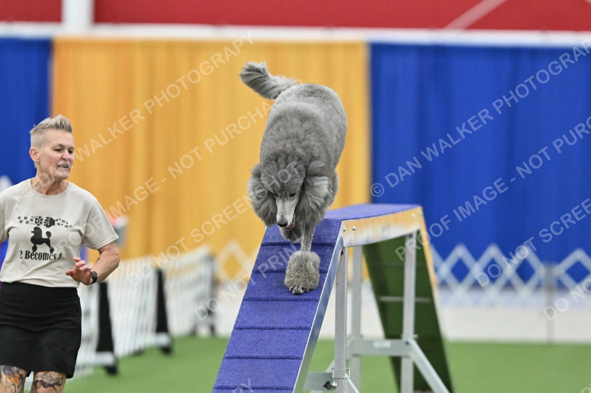 MAS-EX-STD-20-Inch_7278